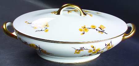 ROB19 Oval Covered Vegetable
