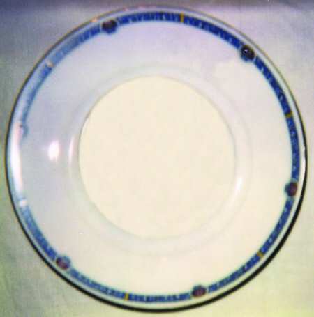 ROB33 Dinner Plate