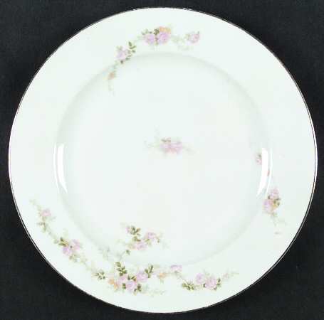 ROB53 Dinner Plate