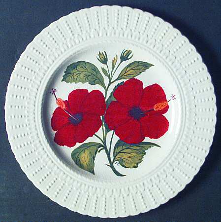 Flower of The Caribbean Luncheon Plate