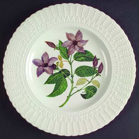 Flower of The Caribbean Luncheon Plate
