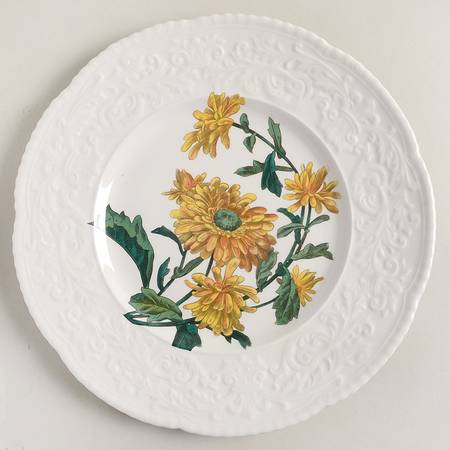 Haywood (Floral) Dinner Plate
