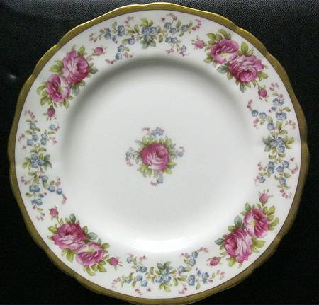 N4737 Dinner Plate