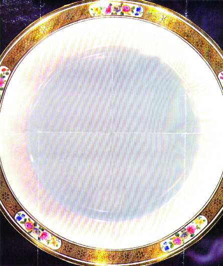 ROC13 Dinner Plate