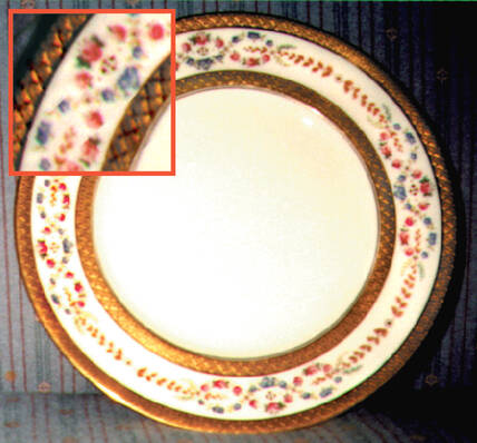 ROC28 Dinner Plate