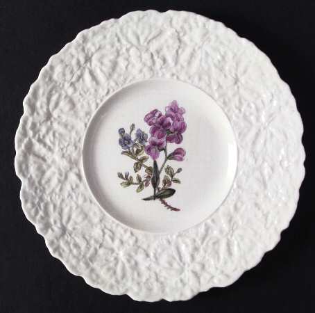 Woodstock Luncheon Plate by Royal Cauldon