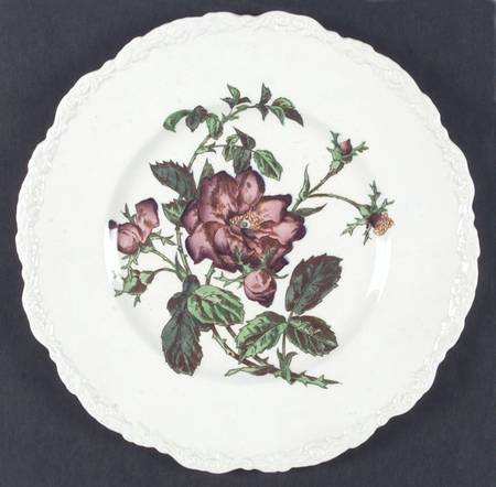 X2893 Dinner Plate