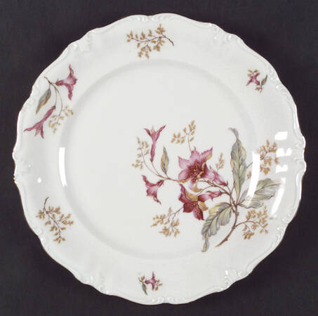 Hibiscus by Royal Heidelberg