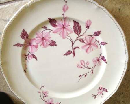 ROT48 Dinner Plate