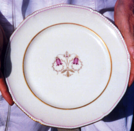 ROT49 Dinner Plate