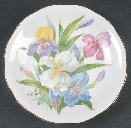 Winsome Saucer