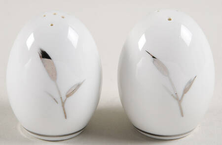 Silver Beauty Salt & Pepper Set