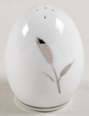 Silver Beauty Salt Shaker