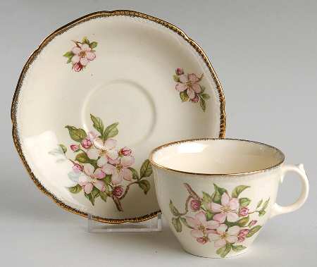 Blossomtime Flat Cup & Saucer Set