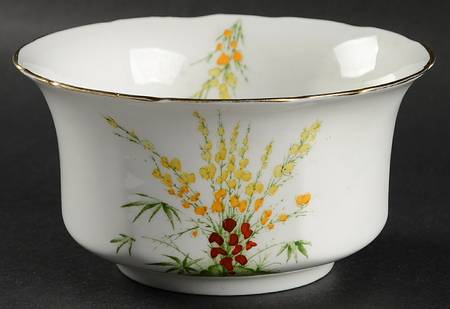 Broom Cranberry Bowl