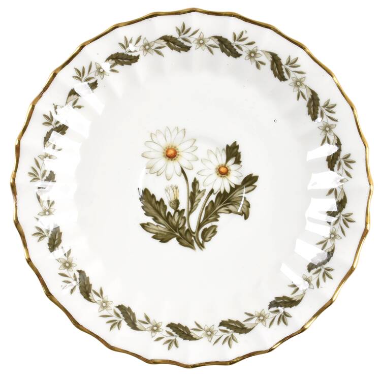 Engadine (No Inner Verge) Saucer