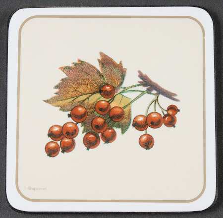 Evesham Gold Square Corkback Coaster