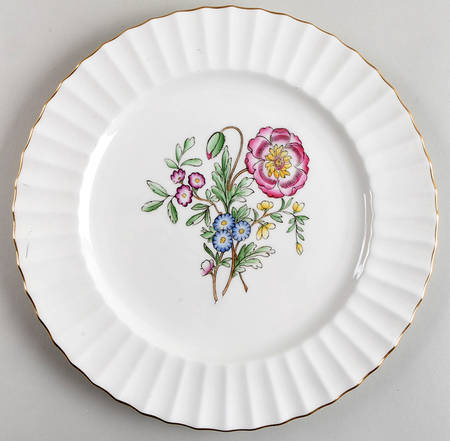 Indian Sprays Dinner Plate