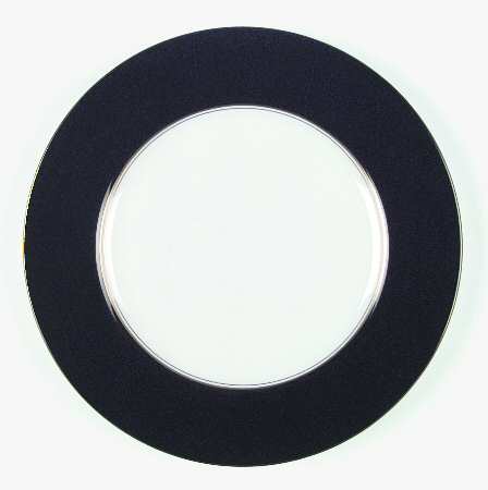 Ventura Black by Royal Worcester