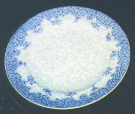W2204 Dinner Plate