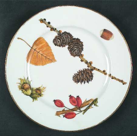 Wild Harvest (Gold Trim) Salad Plate