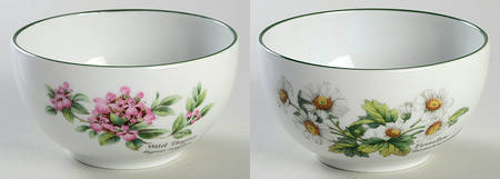 Worcester Herbs (Green Trim) Open Sugar Bowl
