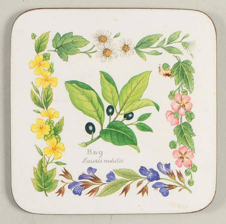 Worcester Herbs (Green Trim) Cork Back Square Coaster