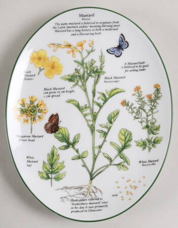 Worcester Herbs (Green Trim) 8" Oval Serving Platter