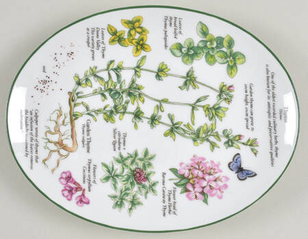 Worcester Herbs (Green Trim) 8" Oval Serving Platter