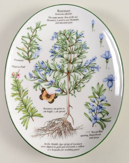 Worcester Herbs (Green Trim) 8" Oval Serving Platter