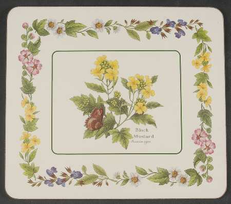 Worcester Herbs (Green Trim) Corkboard Placemat