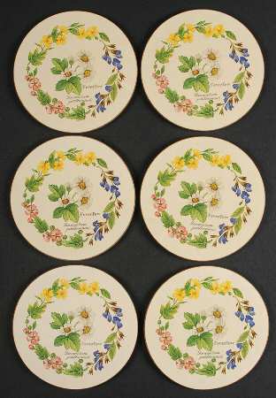 Worcester Herbs (Green Trim) 6 Piece Set Round Corkback Coaster