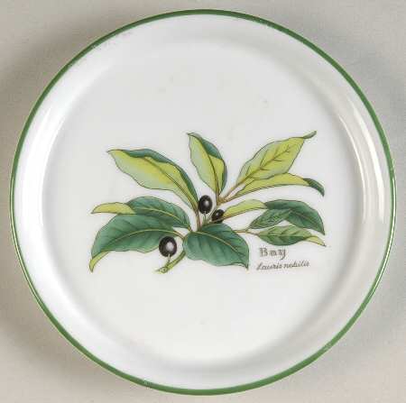 Worcester Herbs (Green Trim) Coaster