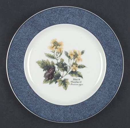 Worcester Herbs (Green Trim) Accent Salad Plate