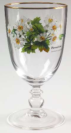 Worcester Herbs (Green Trim) 14 Oz Glassware Goblet