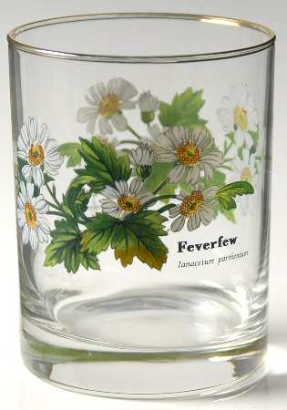 Worcester Herbs (Green Trim) 12 Oz Glassware Double Old Fashioned