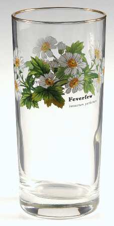 Worcester Herbs (Green Trim) 14 Oz Glassware Highball