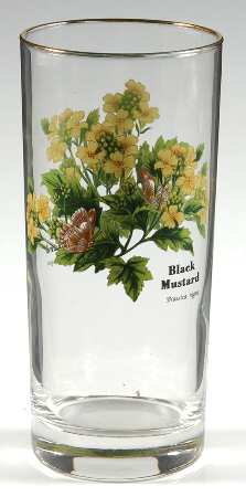 Worcester Herbs (Green Trim) 14 Oz Glassware Highball