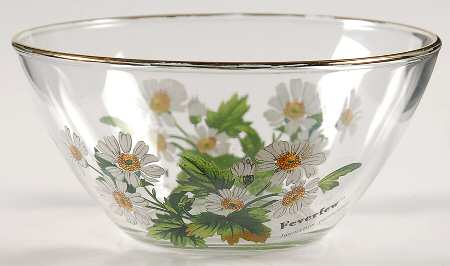 Worcester Herbs (Green Trim) Glassware Individual Salad Bowl