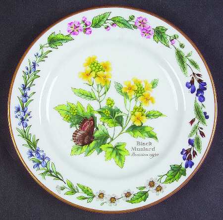 Worcester Herbs (Gold Trim) Bread & Butter Plate