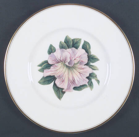 Z2168 Dinner Plate