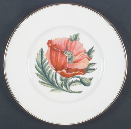 Z2168 Dinner Plate