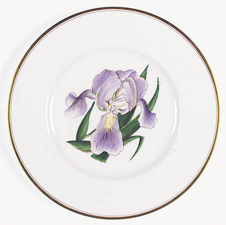 Z2168 Dinner Plate
