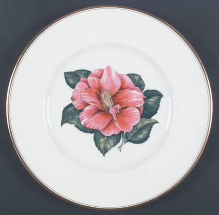 Z2168 Dinner Plate