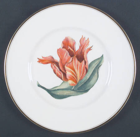 Z2168 Dinner Plate