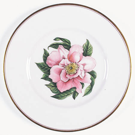 Z2168 Dinner Plate