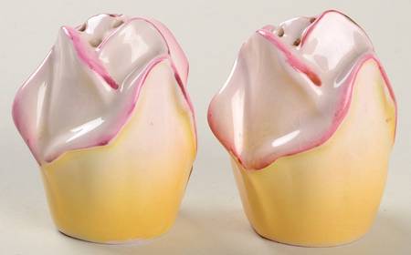 Rosebud Green (Green Background) Salt & Pepper Set