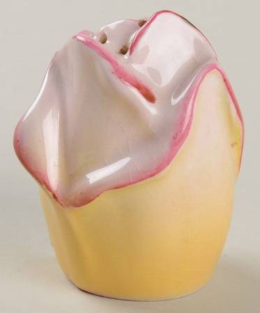 Rosebud Green (Green Background) Salt Shaker