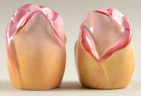 Rosebud Yellow (Yellow Background) Salt & Pepper Set