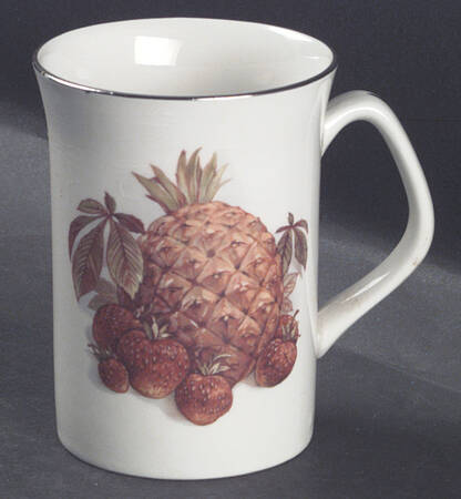 RWI41 Mug
